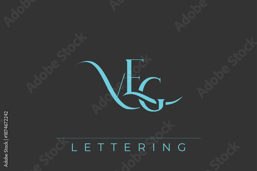 VEG Elegant Monogram Logo Design With Decorative Lettering