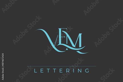 VEM Elegant Monogram Logo Design With Decorative Lettering