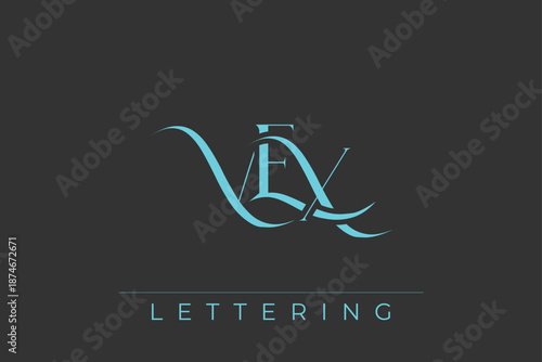 VEX Elegant Monogram Logo Design With Decorative Lettering