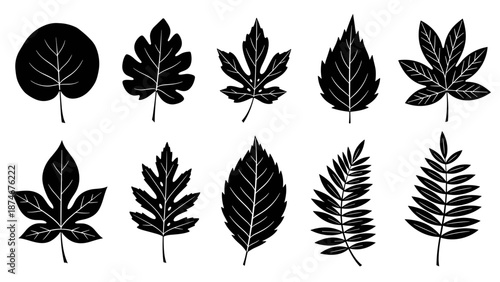 A vector graphic icon of a person lifting a dumbbell on transparent background