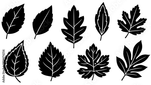 A collection of minimalist white leaf icons on transparent background