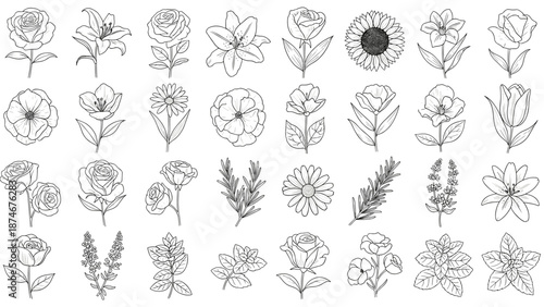 A vector icon of a fireworks display on transparent background