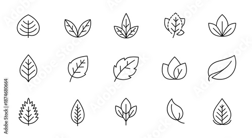 Collection of fifteen stylized line art leaf icons, representing nature and organic elements, perfect for logos, branding, and eco-friendly designs, presented on a clean white background for