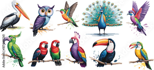 Colorful illustration of ten exotic bird species with vibrant plumage and artistic splashes for wildlife art, nature design, and avian diversity visuals