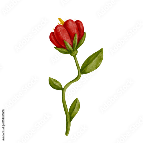 Colorful tropical flower, exotic ornamental plants. Vector graphics.