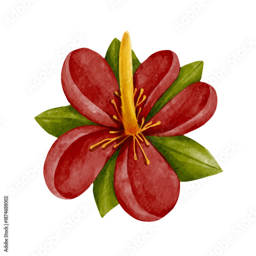 Colorful tropical flower, exotic ornamental plants. Vector graphics.