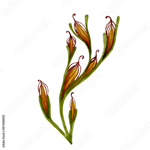 Colorful tropical flower, exotic ornamental plants. Vector graphics.
