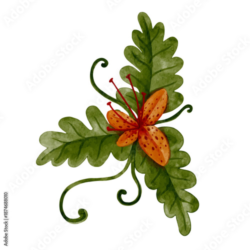 Colorful tropical flower, exotic ornamental plants. Vector graphics.