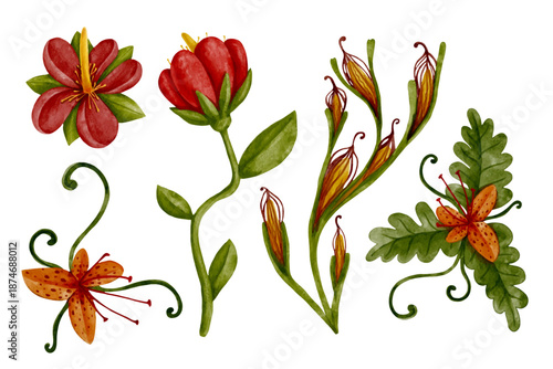 Set of colorful tropical flowers, exotic ornamental plants. Vector graphics.
