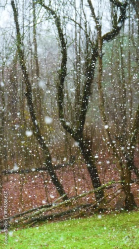 Slow motion video of a snow storm with very large fluffy white flakes falling in Windsor in Upstate NY.  