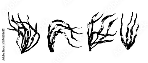 A set of decorative stamps, seaweed silhouettes, and abstract botanical elements. Vector graphics.