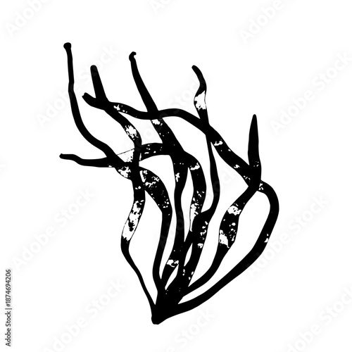 Decorative stamp, seaweed silhouette, abstract botanical elements. Vector graphics.