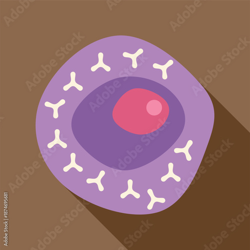 Biological cell with a purple outer membrane, pink nucleus, and white receptors