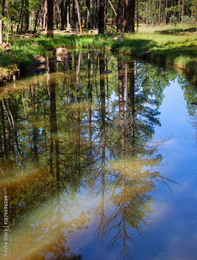 Obraz premium Mountain pond reflection
