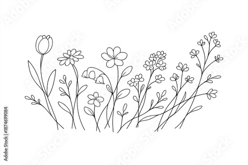 Black and white flower line art with various flower types