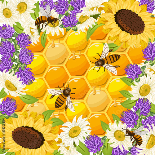 Bees with honeycombs and bright flowers.Sunflowers, clover, daisies and bees on honeycomb in color vector illustration.