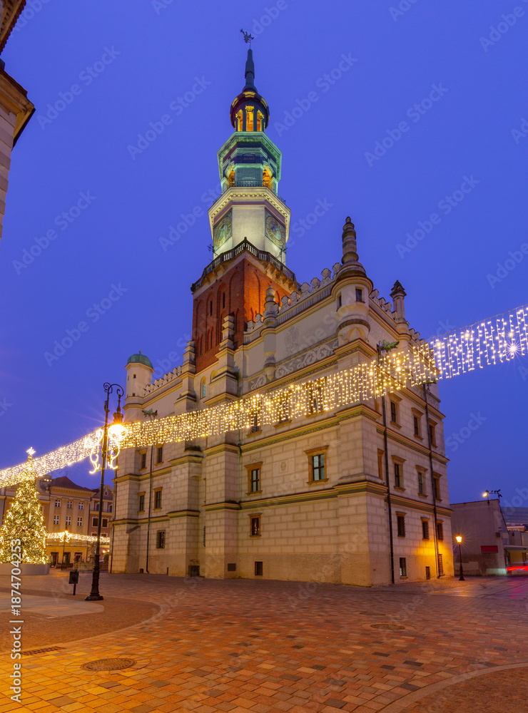 Obraz premium Poznan Town Hall and Christmas Tree in Poland