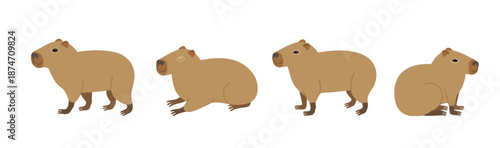 Cute capybara in various positions isolated on white background. Vector hand-drawn doodle illustration in trendy style.