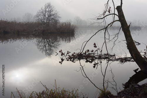 foschia sul lago in una giornata autunnale