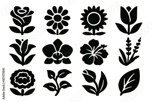 Bold Flora Icons. Wild Flora icon set in silhouette bold style. Contain rose, daisy, sunflower, tulip, lily, orchid, hibiscus, lavender, marigold, vine, bud, leaf