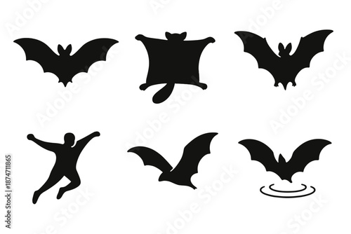 Aerial Mammal Silhouettes. Aerial Species mammals set in outline vector style: bat silhouette, gliding squirrel, flying fox, winged leap figure, night swoop arc, soft echo ripple