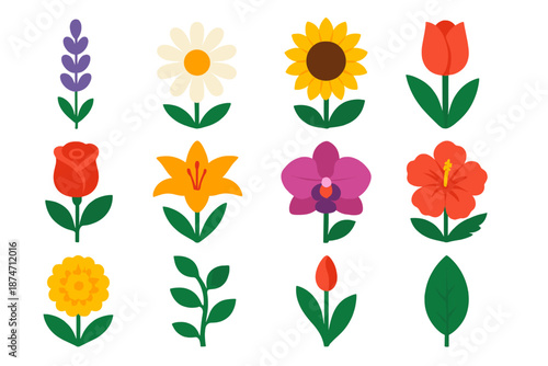 Wallpaper Mural Vibrant Floral Icons. Wild Flora vector set in modern flat style : lavender, daisy, sunflower, tulip, rose, lily, orchid, hibiscus, marigold, vine, bud, leaf Torontodigital.ca