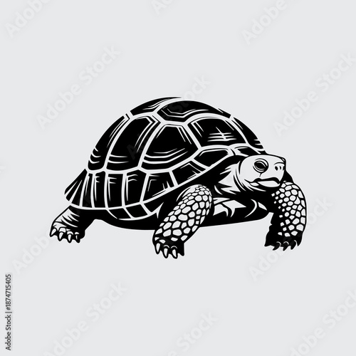 black and white tortoise vector 7.eps