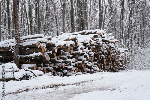 Stack of tree logs from forest exploitation on side of snowy forest in winter