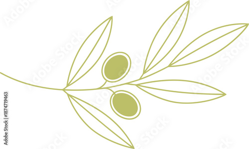 Olive branch with two olives and leaves. Natural cooking ingredient and mediterranean food. Botanical symbol. Vector illustration for product label