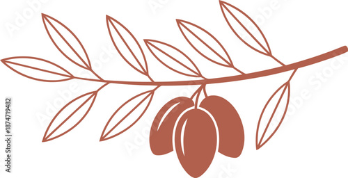 Minimalist olive branch with leaves and three olive fruits on white background. Simple line art element. Organic food concept. Vector illustration for logo, menu, packaging design