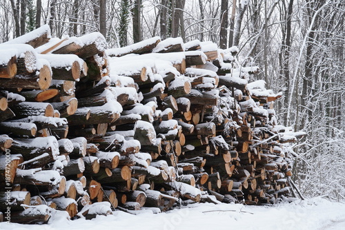 Closeup of stack of tree logs from forest exploitation on side of snowy forest in winter