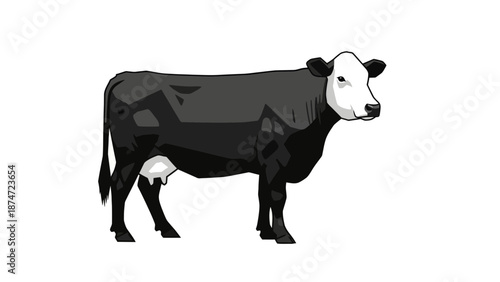 Black and white cow illustration