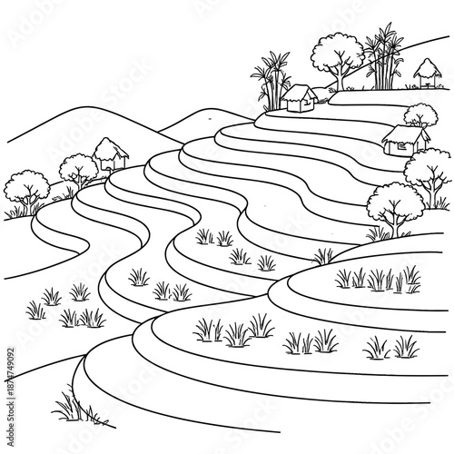 Terraced rice fields ascend a hill with rural homes.