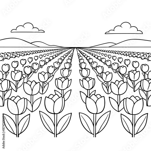 This dark image represents the unknown and security.