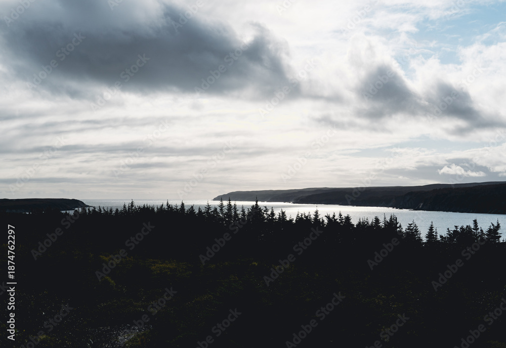 Obraz premium Dark treeline silhouette under dramatic clouds, Newfoundland