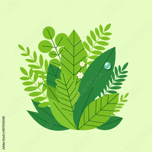 Green foliage illustration with dewdrop and delicate white flowers.