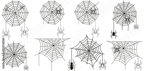 Spider Web and Spider Set Hand Drawn Illustration