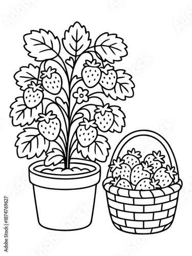Strawberry Plant and Basket: A black and white depiction showcases a flourishing strawberry plant, its ripe fruits nestled among lush leaves.
