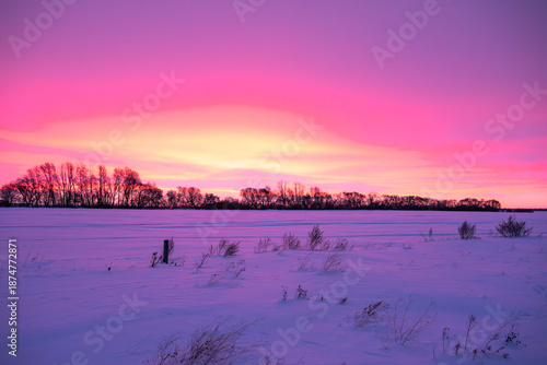 Pink winter sunrise in Canada