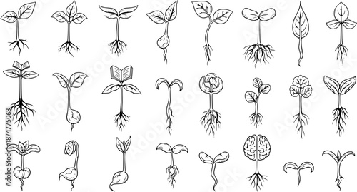 Hand-drawn Black  White Line Art Seedlings  Sprouts Set with Roots - Nature, Growth, Education  Science Concepts Doodle Collection