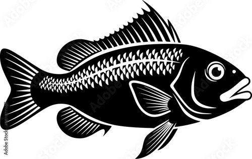 Stylized monochrome illustration of a Devil's Hole Pupfish artwo
