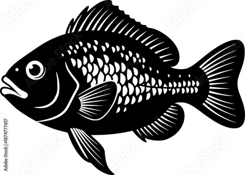 Stylized monochrome illustration of a Devil's Hole Pupfish artwo
