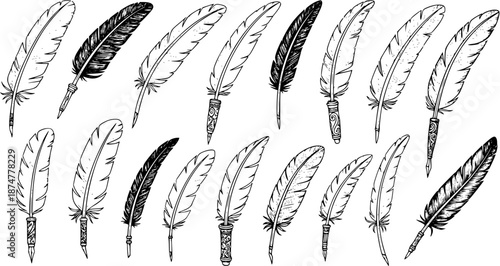 Set of Black and White Line Art Quill Pens, Vintage Writing Instruments for Artistic and Historical Themes