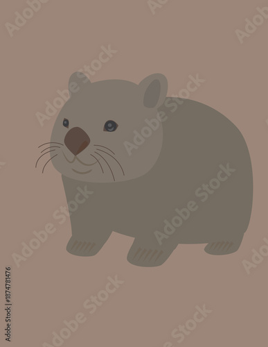 Photography A vector art of a native Australian marsupial animal, the wombat