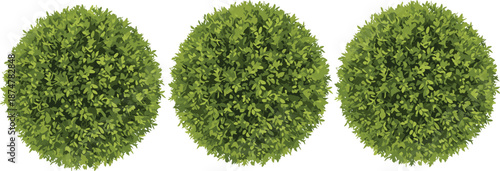 Green bush top view set, round garden shrubs collection, natural foliage texture, landscaping design elements, isolated realistic vector illustration