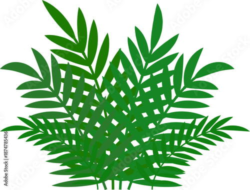 Vector of bush jungle forest green foliage plant. cannabis leaf vector. Green fern leaves. Isolated a leaf plant green cannabis, leaves, fern, marijuana, nature, tree, isolated,  vector art with white