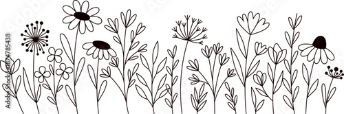 Vector of Black and white spring flowers. Minimalist black and white botanical illustration of a wild flower meadow border design