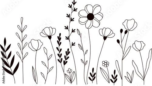 Black and white wildflower silhouette vector. Black silhouettes grass flat icon set. Wild meadow herbs, flowers isolated on white background, Leaf borders, flower elements, nature background