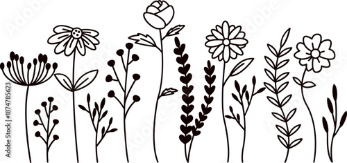 spring flowers line art vector illustration. trendy wildflowers and minimalist flowers for wall decoration or wedding. Hand drawn line herb, elegant leaves for invitation save the date card.