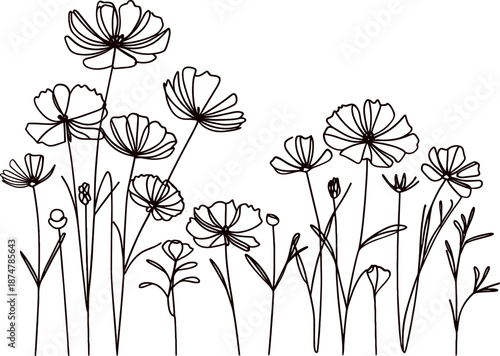 Line art vector of summer flower. botanical background with trendy wildflowers and minimalist flowers for wall decoration or wedding. 